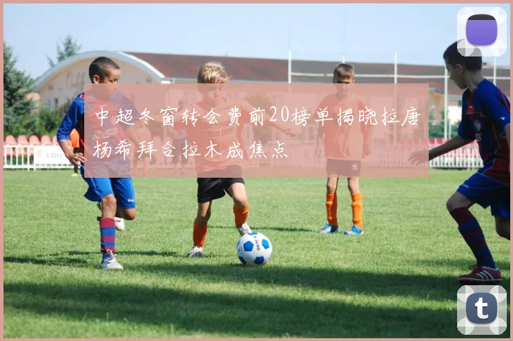 中超冬窗转会费前20榜单揭晓拉唐杨希拜合拉木成焦点